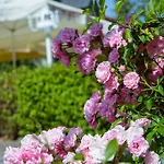Schneider Riedenburg